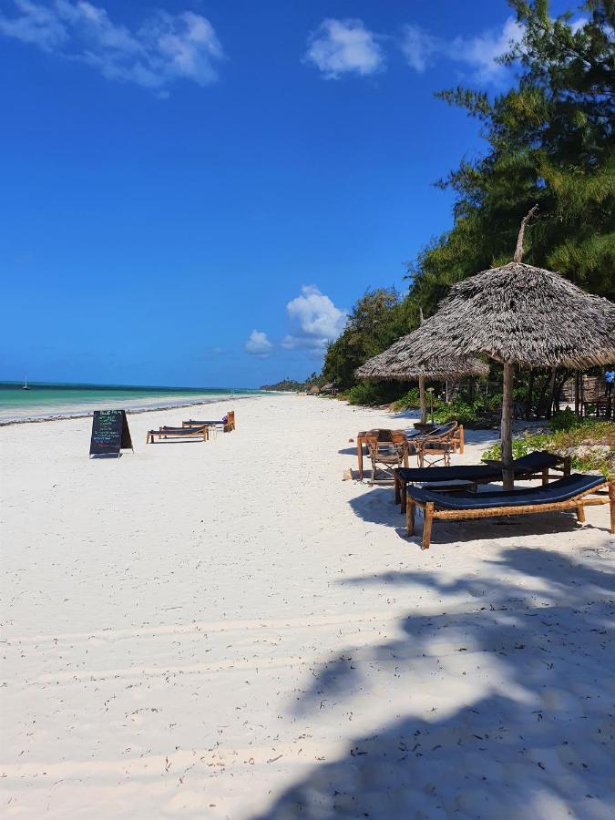 Bed and breakfast Blue Palm Zanzibar Bwejuu