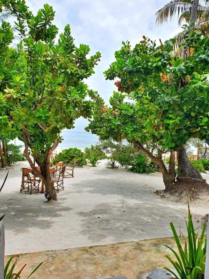 Bed and breakfast Blue Palm Zanzibar 3*