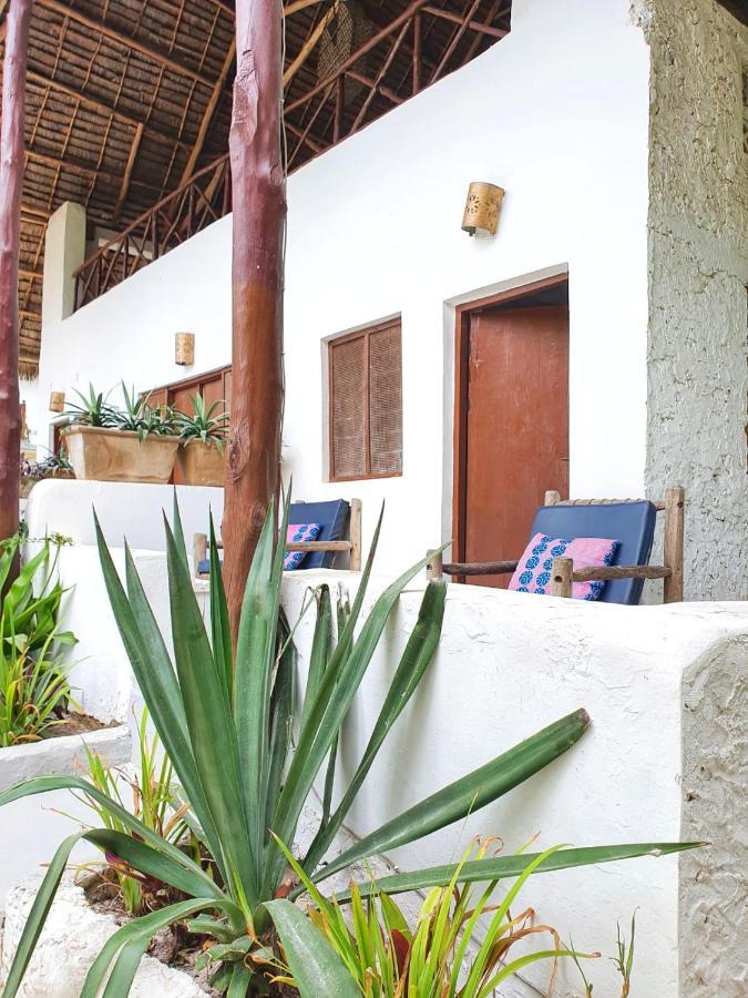 Bed and breakfast Blue Palm Zanzibar Bwejuu