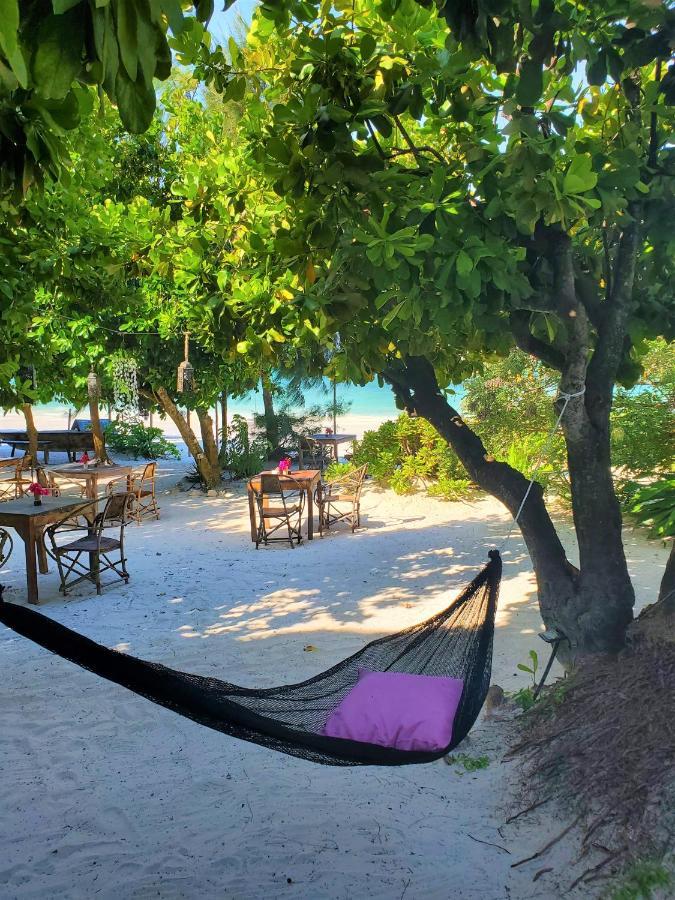 Bed and breakfast Blue Palm Zanzibar Bwejuu
